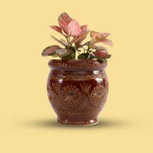 Earthy-Motif-Ceramic-1