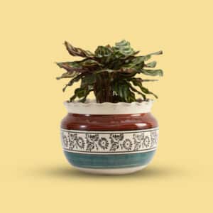 Tri-color-Glazed-Planter